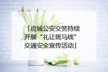 虞城公安交警持续开展“礼让斑马线”交通安全宣传活动