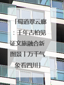 蜀道翠云廊：千年古柏见证文旅融合新图景丨万千气象看四川
