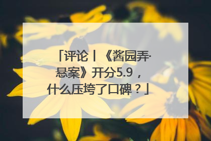 评论丨《酱园弄·悬案》开分5.9，什么压垮了口碑？