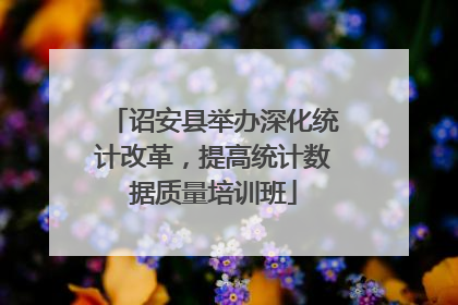 诏安县举办深化统计改革,提高统计数据质量培训班