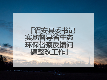 诏安县委书记实地督导省生态环保督察反馈问题整改工作