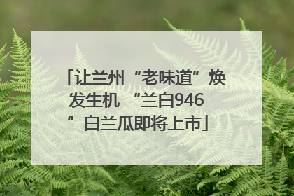 让兰州“老味道”焕发生机 “兰白946”白兰瓜即将上市