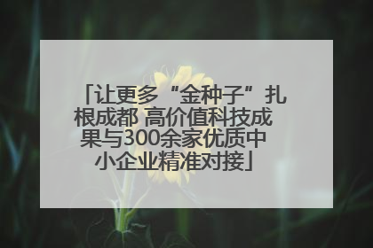 让更多“金种子”扎根成都 高价值科技成果与300余家优质中小企业精准对接