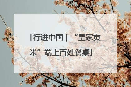 行进中国｜“皇家贡米”端上百姓餐桌