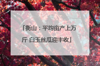 衡山：平均亩产上万斤 白玉丝瓜迎丰收