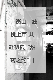 衡山：油桃上市 共赴初夏“甜蜜之约”