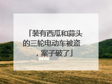 装有西瓜和蒜头的三轮电动车被盗，案子破了