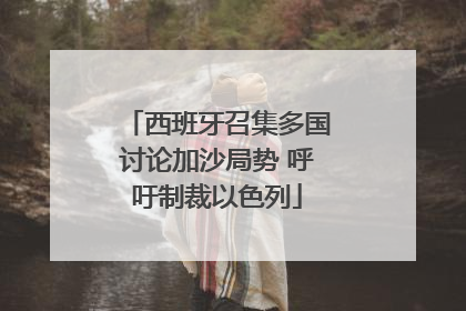 西班牙召集多国讨论加沙局势 呼吁制裁以色列