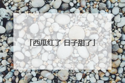 西瓜红了 日子甜了