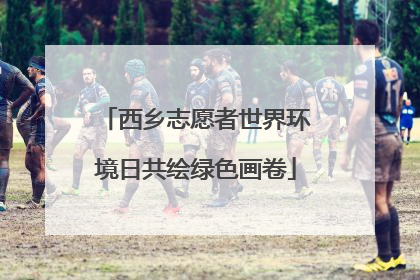 西乡志愿者世界环境日共绘绿色画卷