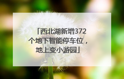 西北湖新增372个地下智能停车位，地上变小游园