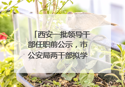 西安一批领导干部任职前公示，市公安局两干部拟学历破格提拔