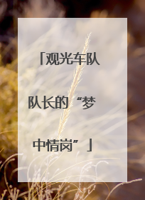 观光车队队长的“梦中情岗”