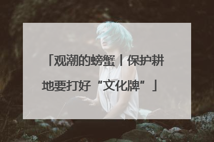 观潮的螃蟹丨保护耕地要打好“文化牌”
