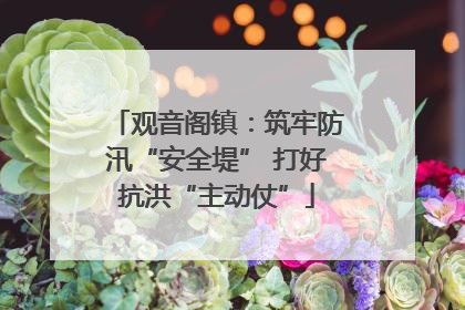 观音阁镇：筑牢防汛“安全堤” 打好抗洪“主动仗”