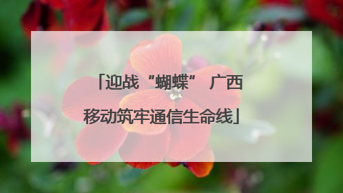 迎战“蝴蝶” 广西移动筑牢通信生命线
