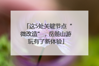 这5处关键节点“微改造”，岳麓山游玩有了新体验