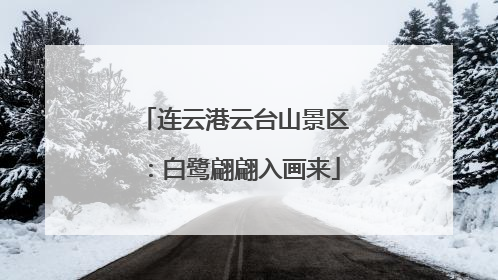 连云港云台山景区：白鹭翩翩入画来