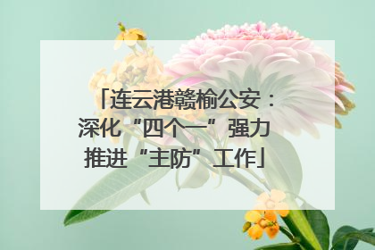连云港赣榆公安：深化“四个一”强力推进“主防”工作