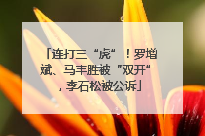 连打三“虎”！罗增斌、马丰胜被“双开”，李石松被公诉