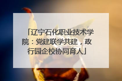 辽宁石化职业技术学院：党建联学共建，政行园企校协同育人