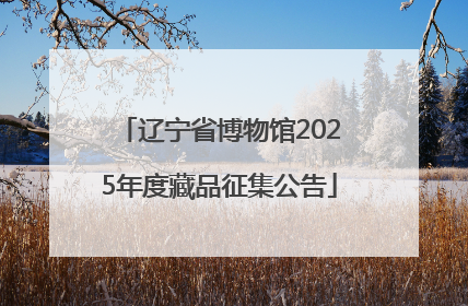 辽宁省博物馆2025年度藏品征集公告