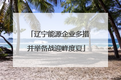 辽宁能源企业多措并举备战迎峰度夏