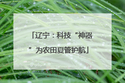 辽宁：科技“神器”为农田夏管护航