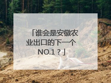 谁会是安徽农业出口的下一个NO.1？