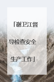 谢卫江督导检查安全生产工作