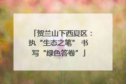 贺兰山下西夏区：执“生态之笔” 书写“绿色答卷”
