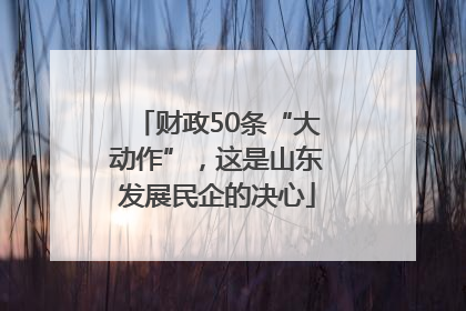 财政50条“大动作”，这是山东发展民企的决心