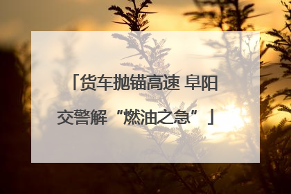 货车抛锚高速 阜阳交警解“燃油之急”