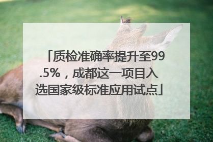 质检准确率提升至99.5%，成都这一项目入选国家级标准应用试点