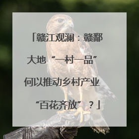 赣江观澜：赣鄱大地“一村一品”何以推动乡村产业“百花齐放”？