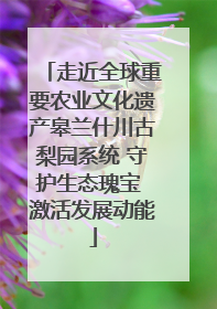 走近全球重要农业文化遗产皋兰什川古梨园系统 守护生态瑰宝 激活发展动能