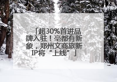 超30%首进品牌入驻！亳都有新象，郑州文商旅新IP将“上线”