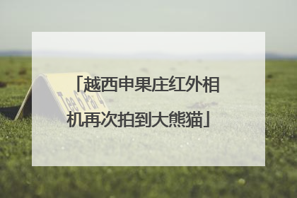 越西申果庄红外相机再次拍到大熊猫