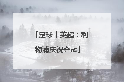足球丨英超：利物浦庆祝夺冠