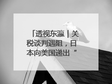 透视东瀛｜关税谈判遇阻，日本向美国递出“投名状”