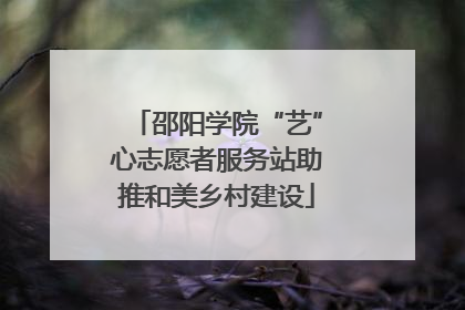 邵阳学院“艺”心志愿者服务站助推和美乡村建设