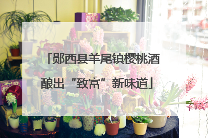 郧西县羊尾镇樱桃酒酿出“致富”新味道