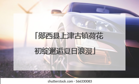郧西县上津古镇荷花初绽邂逅夏日浪漫