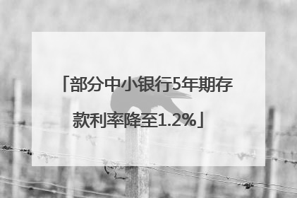 部分中小银行5年期存款利率降至1.2%