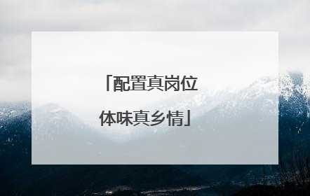 配置真岗位 体味真乡情