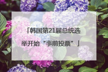 韩国第21届总统选举开始“事前投票”
