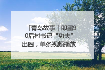 青岛故事｜即墨90后村书记“功夫”出圈，单条视频播放量过600万