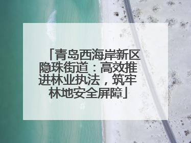 青岛西海岸新区隐珠街道：高效推进林业执法，筑牢林地安全屏障