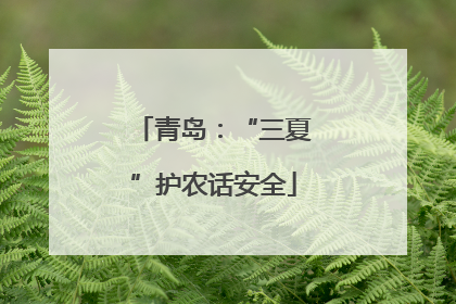 青岛：“三夏”护农话安全