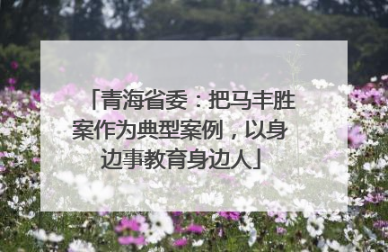 青海省委：把马丰胜案作为典型案例，以身边事教育身边人